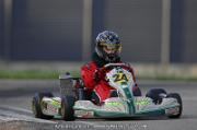 DSC_0041 (2)